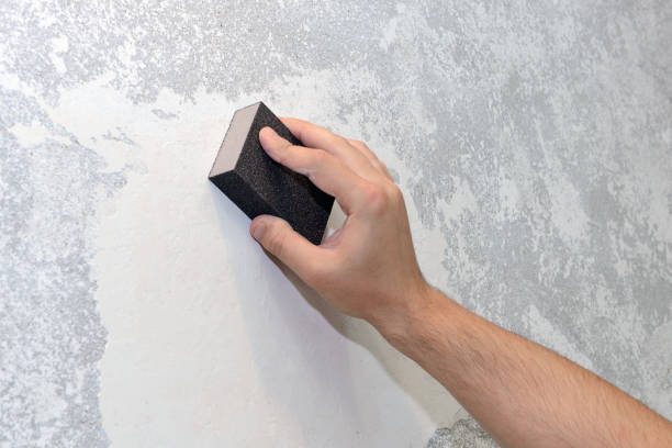 Best Emergency Mold Remediation  in Niles, MI