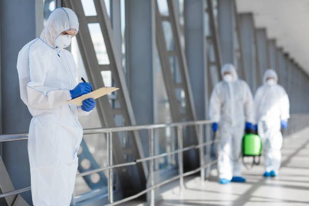 Best Water Damage & Mold Remediation  in Niles, MI