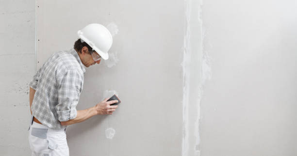 Best Asbestos and Lead Testing During Mold Inspection  in Niles, MI
