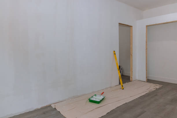 Best Mold Prevention Services  in Niles, MI