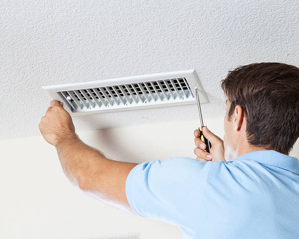 Best Airborne Mold Testing  in Niles, MI