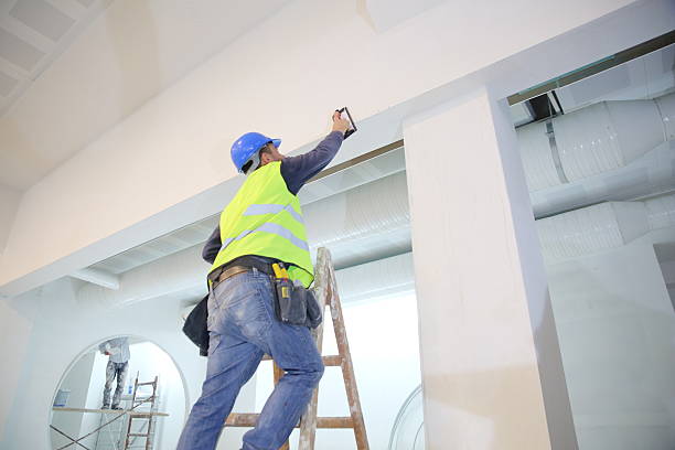 Best Attic Mold Removal  in Niles, MI