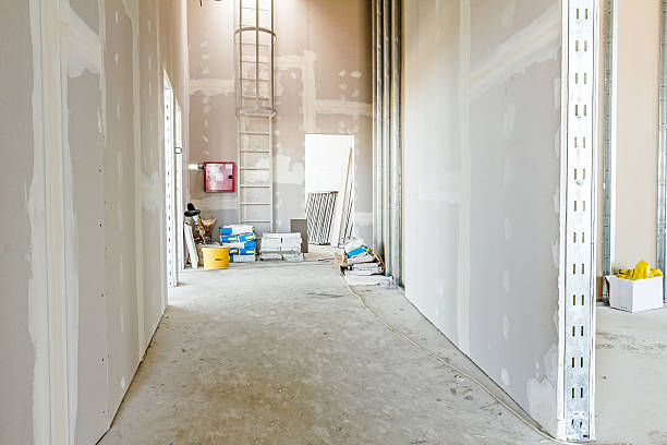 Best Air Quality Testing for Mold Spores  in Niles, MI